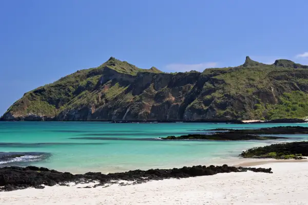Flora única encontrada nas Ilhas Galápagos