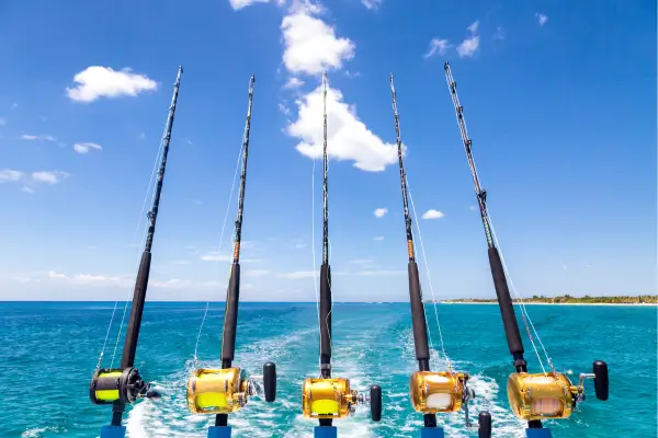 Estratégias de pesca em alto-mar para alimentação durante viagens