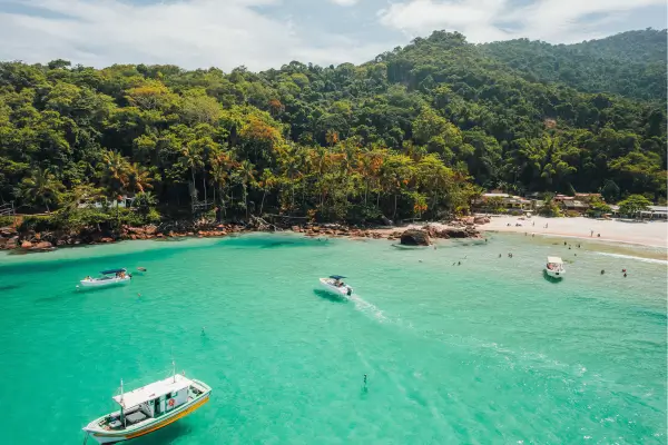 Refúgio Selvagem e Natureza nas Ilhas do Canal da Califórnia